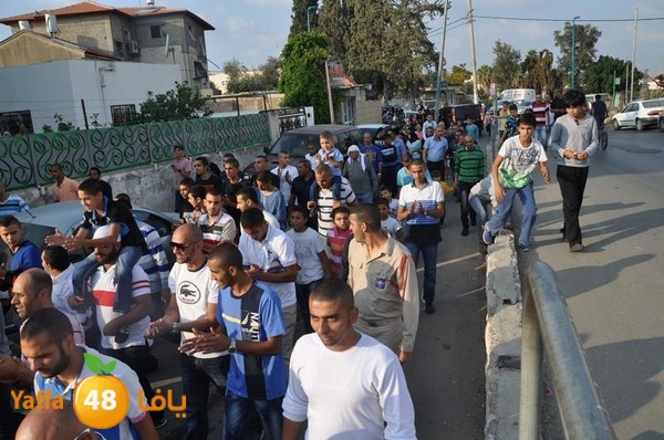 3ares abo 3arar 1129 (3).JPG